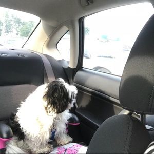 Meet your Posher, Donna